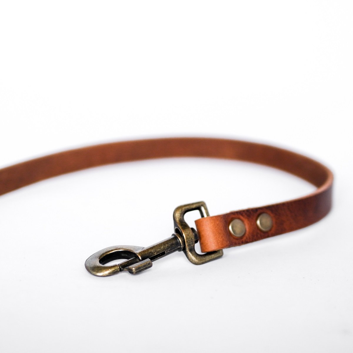 Laisse No Fuss en cuir marron – Vieux laiton | Cooper & Quint