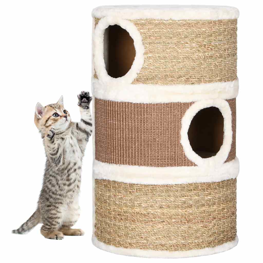 Griffoir pour chat 60 cm en jonc de mer naturel avec chaton tigré