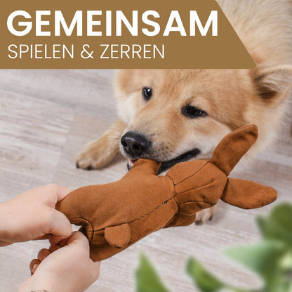 Haru — Le lapin compagnon de jeu pour chien