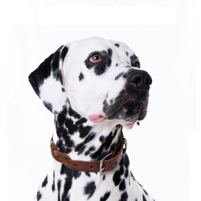 Collier Torsaé en cuir pour chien – Marron