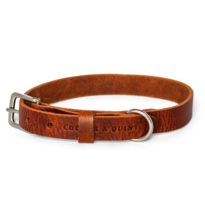 No Fuss – Collier pour chien en cuir marron
