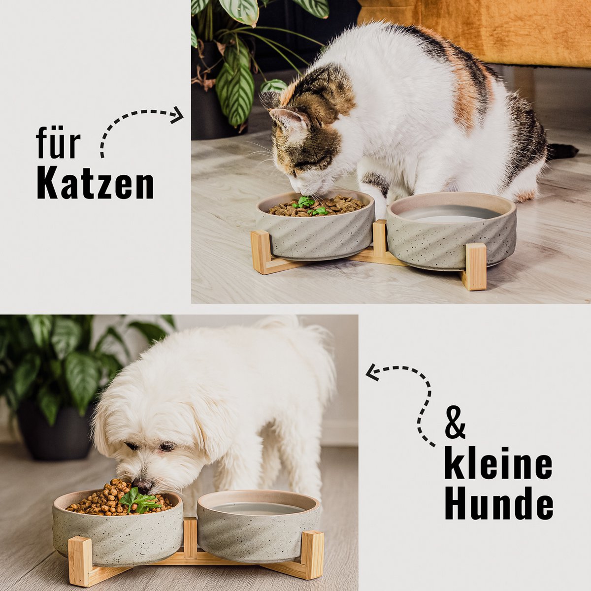 Duo de gamelles en céramique & bambou – Chat & petit chien