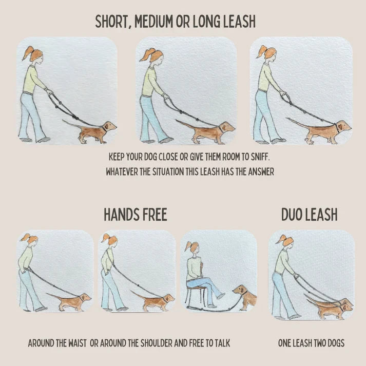 Laisse réglable pour chien Just Cotton – Gris