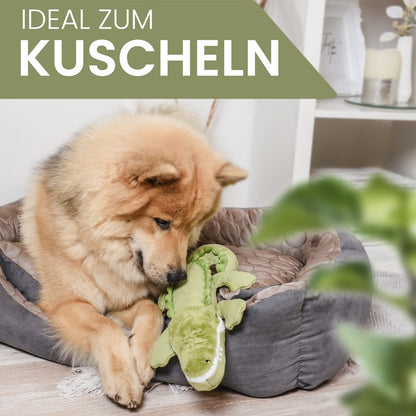 Kris – Jouet Crocodile pour chien avec couineur