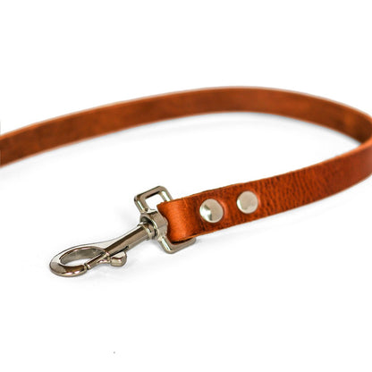Laisse No Fuss en cuir marron – Vieux laiton | Cooper & Quint