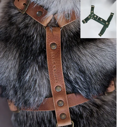 Harnais Y pour chien en cuir – NO CHICHI Noir