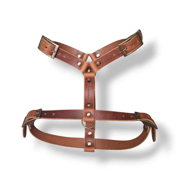 Harnais Y pour chien en cuir – NO CHICHI Brun