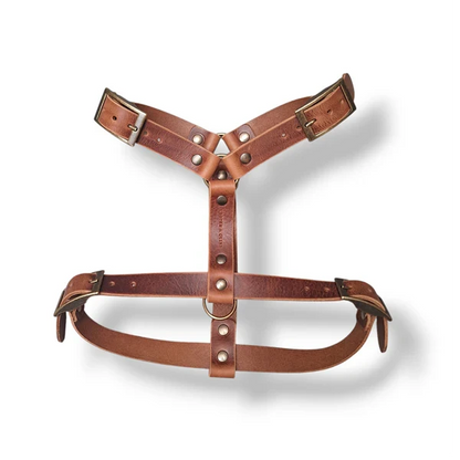 Harnais Y pour chien en cuir – NO CHICHI Brun