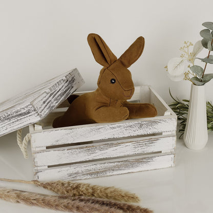 Haru — Le lapin compagnon de jeu pour chien