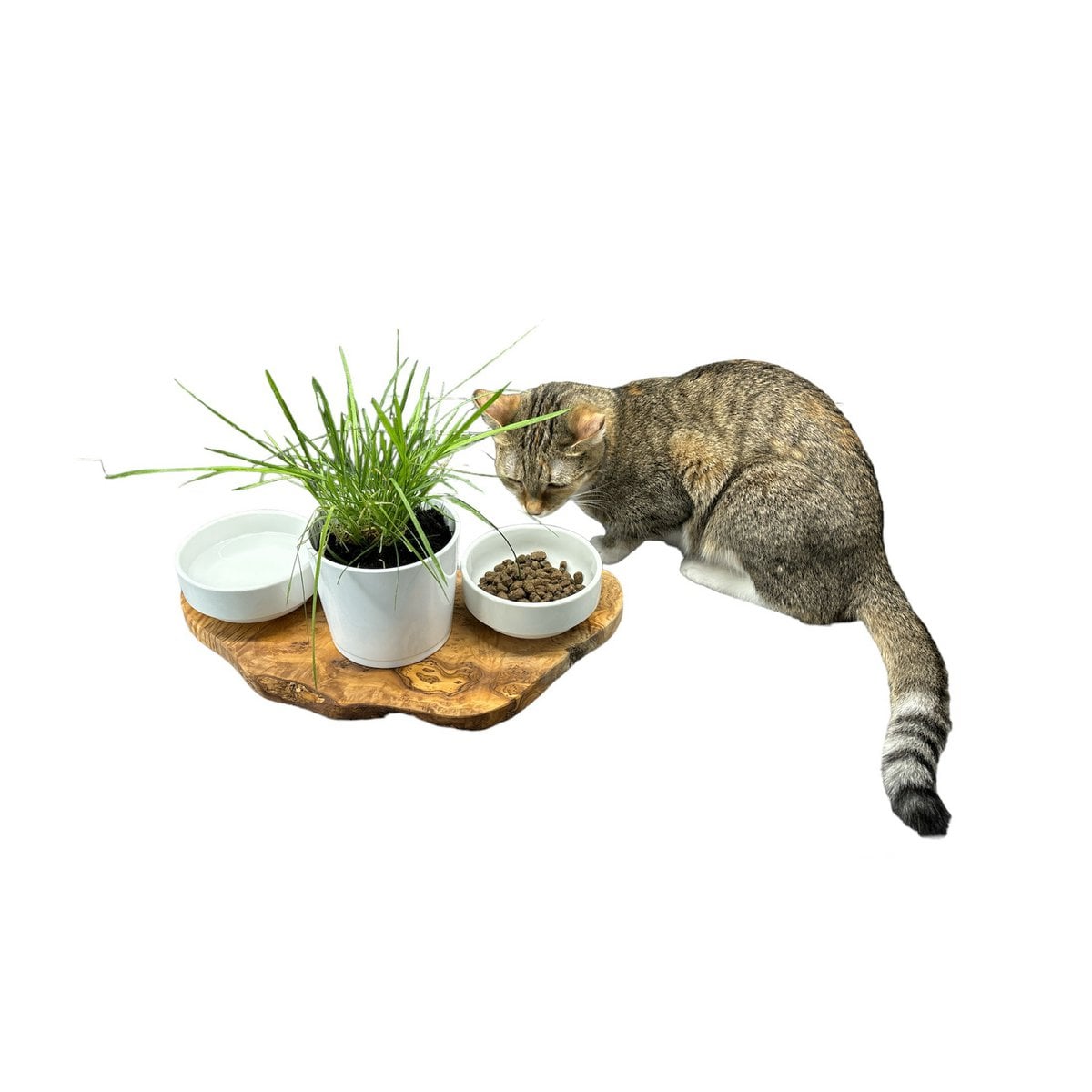 Station d’alimentation RUSTY pour chat – Bois d’olivier & porcelaine