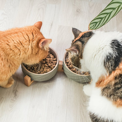 Duo de gamelles en céramique & bambou – Chat & petit chien