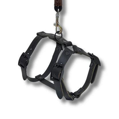 Harnais Y pour chien en cuir – NO CHICHI Noir