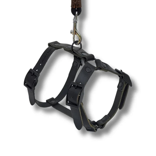 Harnais Y pour chien en cuir – NO CHICHI Noir