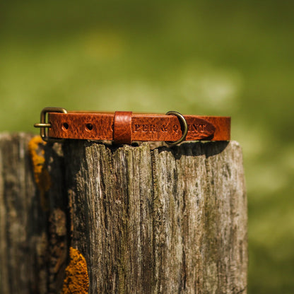 No Fuss – Collier pour chien en cuir marron