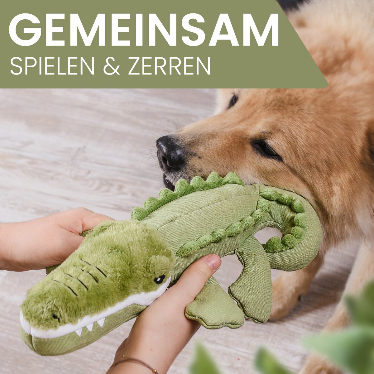 Kris – Jouet Crocodile pour chien avec couineur