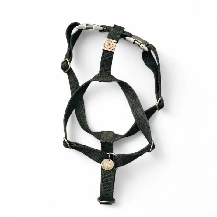 Harnais pour chien Simply Hemp – Vert forêt