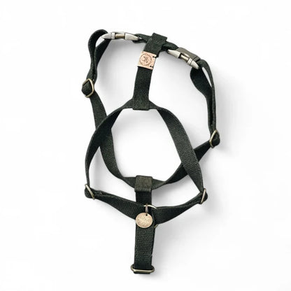 Harnais pour chien Simply Hemp – Vert forêt