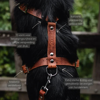 Harnais Y pour chien en cuir – NO CHICHI Brun
