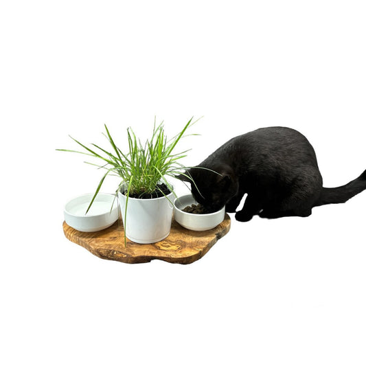 Station d’alimentation RUSTY pour chat – Bois d’olivier & porcelaine