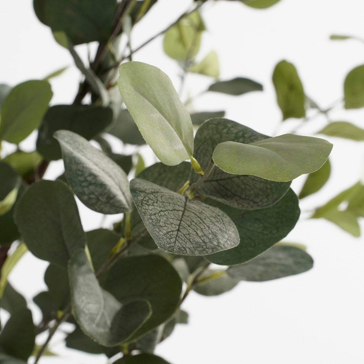 Plante artificielle eucalyptus 120 cm