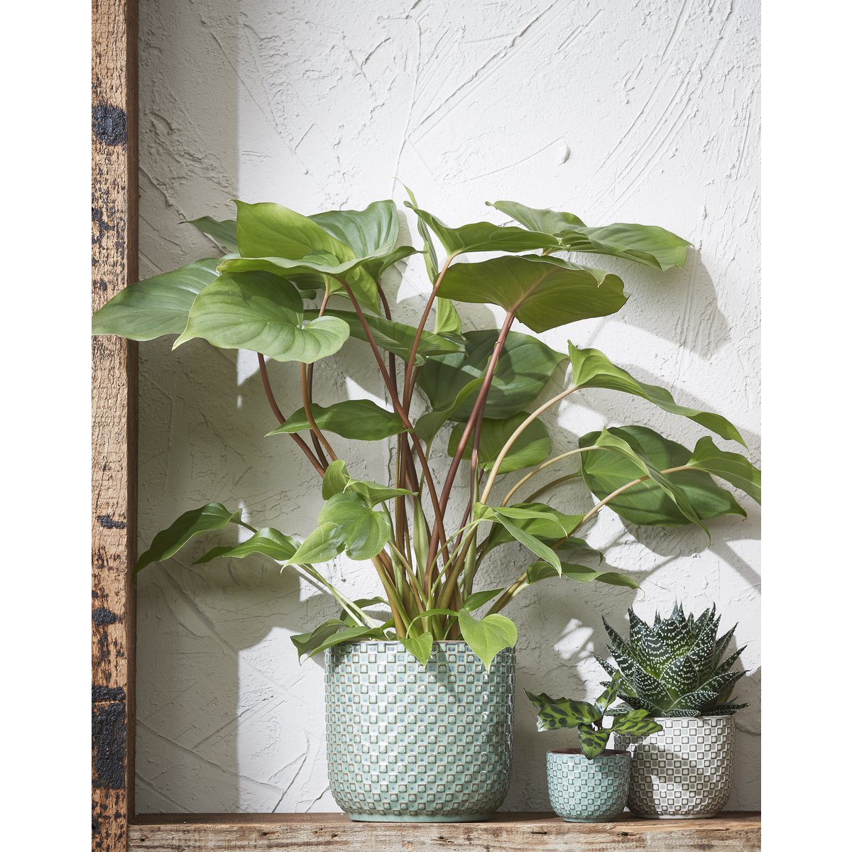 Cache-pot Vert Sauge texturé en céramique — Ø19 cm