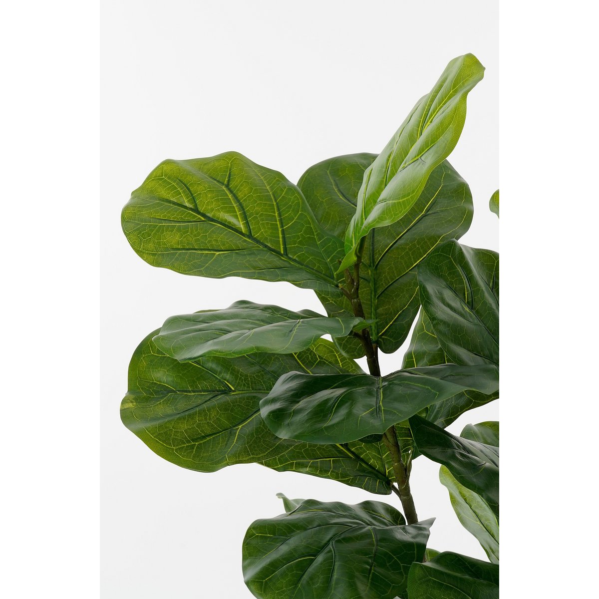 Ficus Lyrata artificiel 150 cm — Présence végétale luxueuse