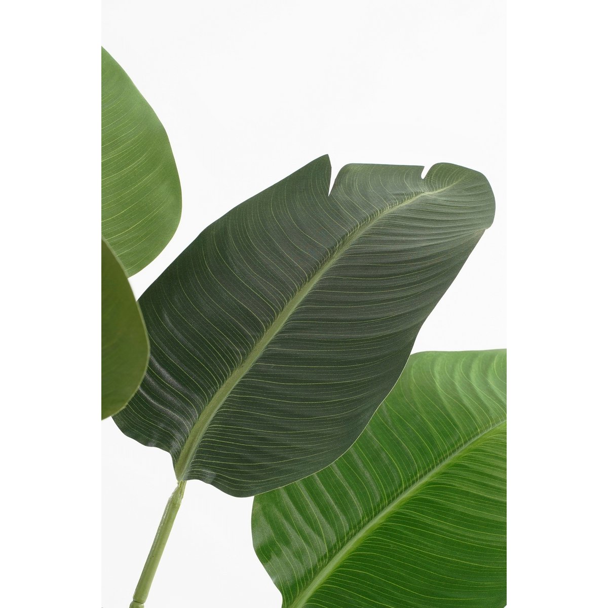 Détail feuilles bananier artificiel