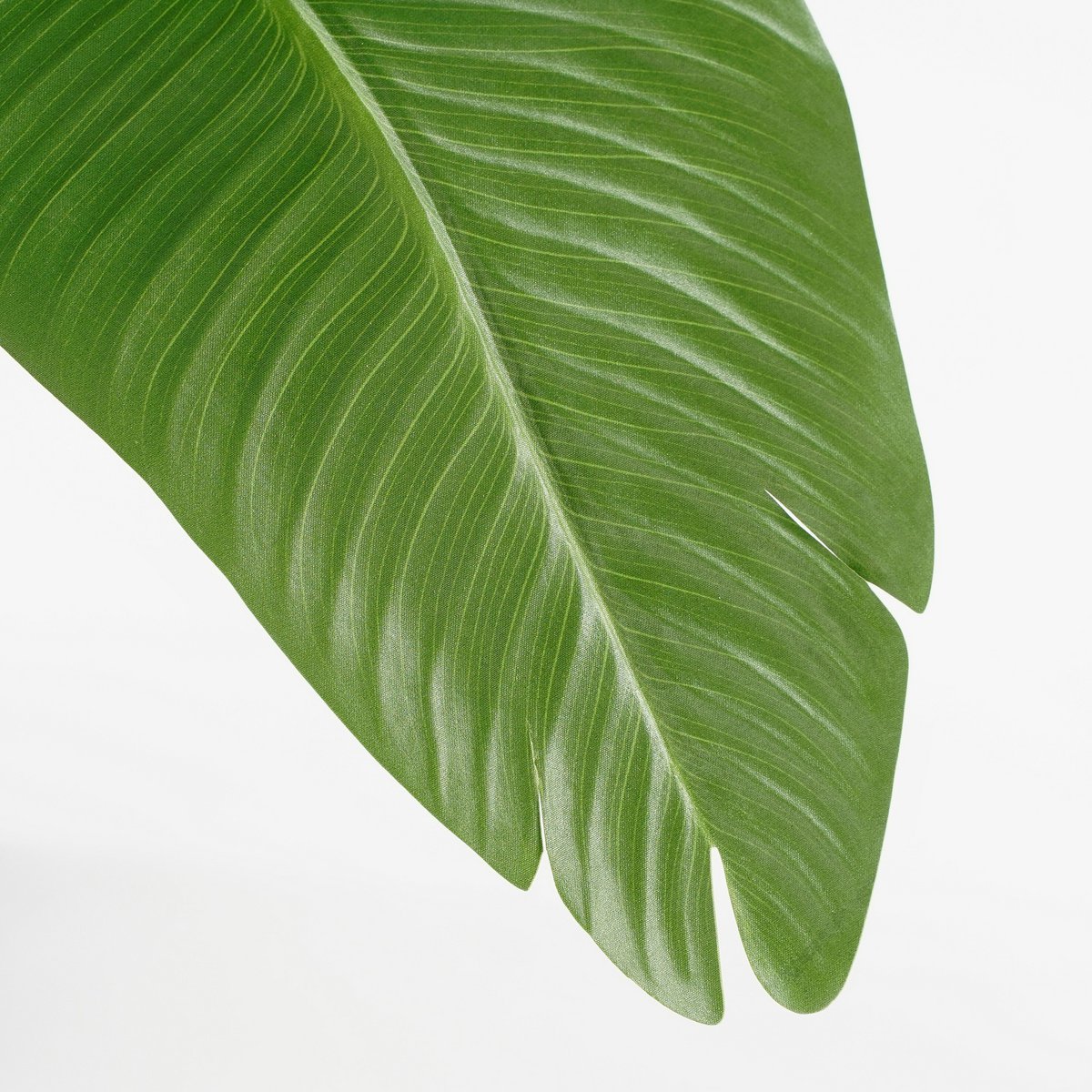 Détail feuille bananier artificiel premium