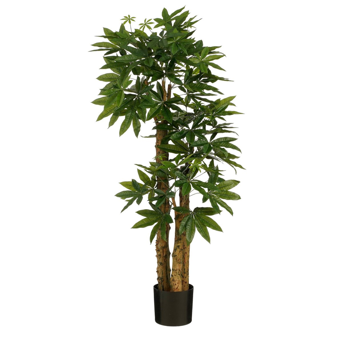 Pachira artificiel 175 cm — L’arbre de la prospérité