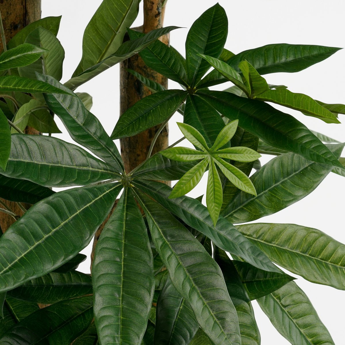 Pachira artificiel 175 cm — L’arbre de la prospérité