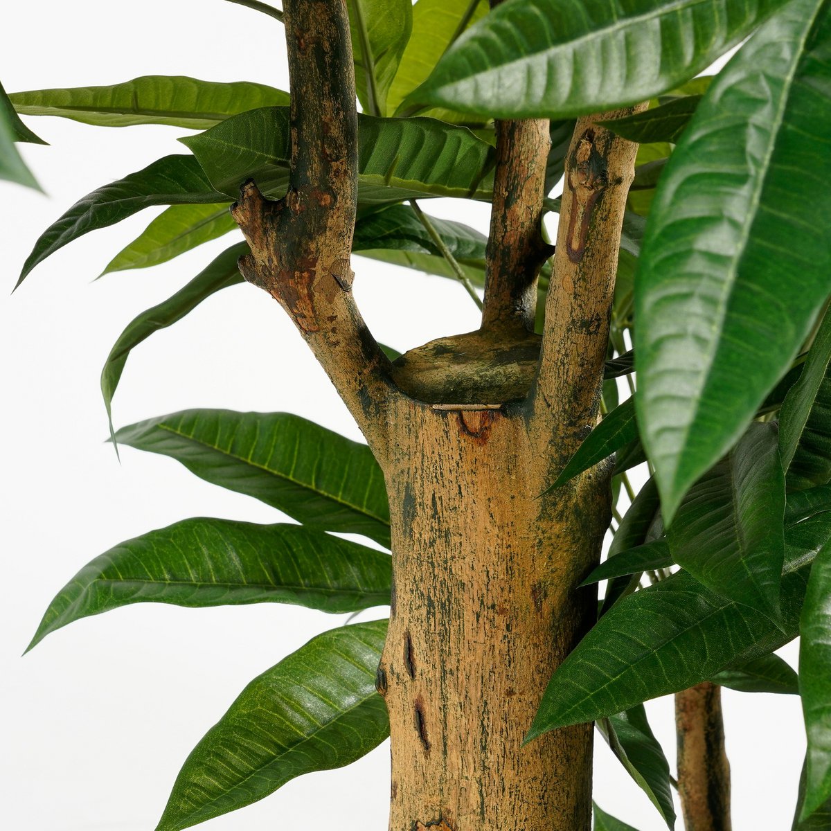Pachira artificiel 175 cm — L’arbre de la prospérité
