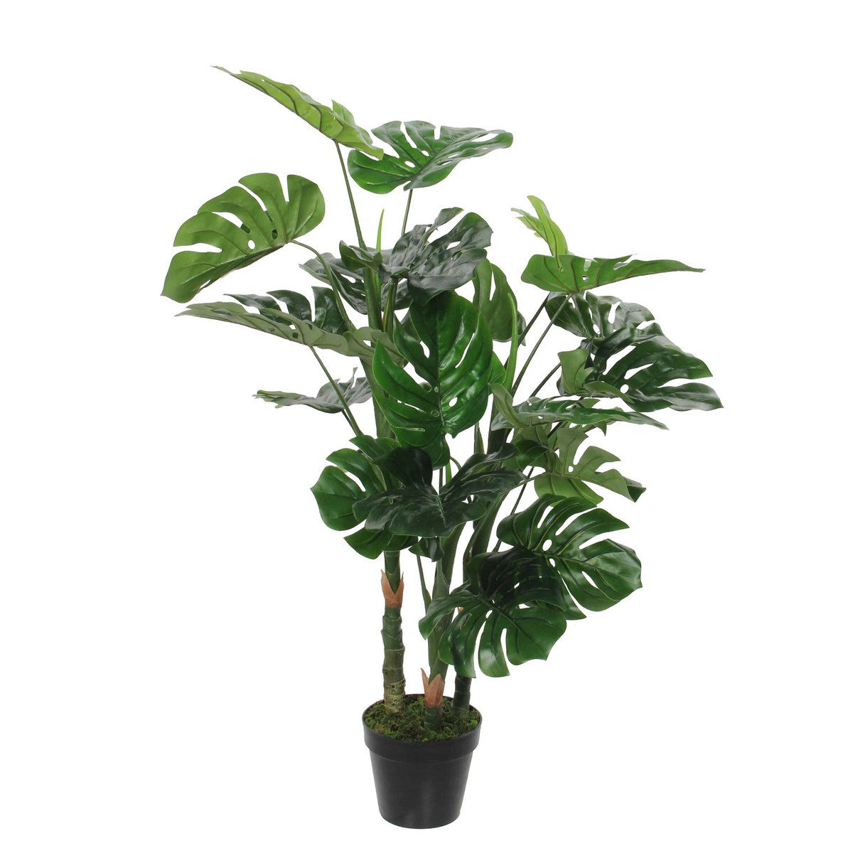 Monstera artificiel 100 cm — L’icône végétale des intérieurs modernes