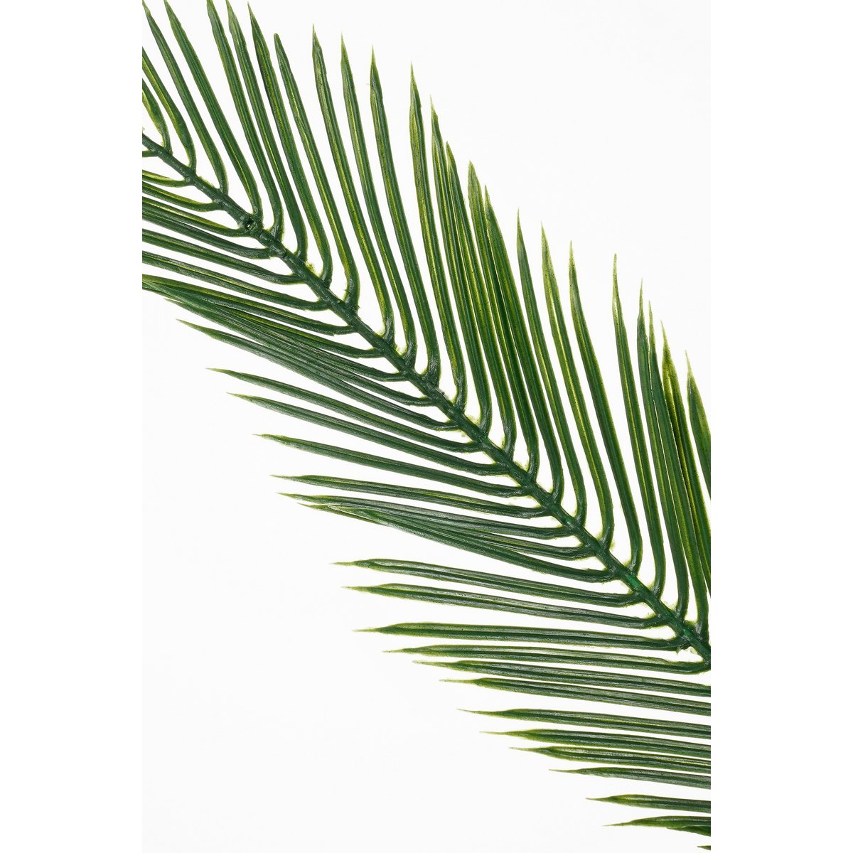 Palmier Cycas artificiel 150 cm — Silhouette tropicale structurée