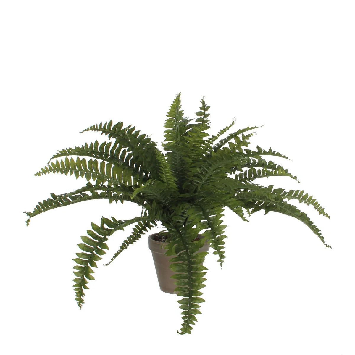 Fougère artificielle verte Ø70 cm — Pot terre cuite gris basalte