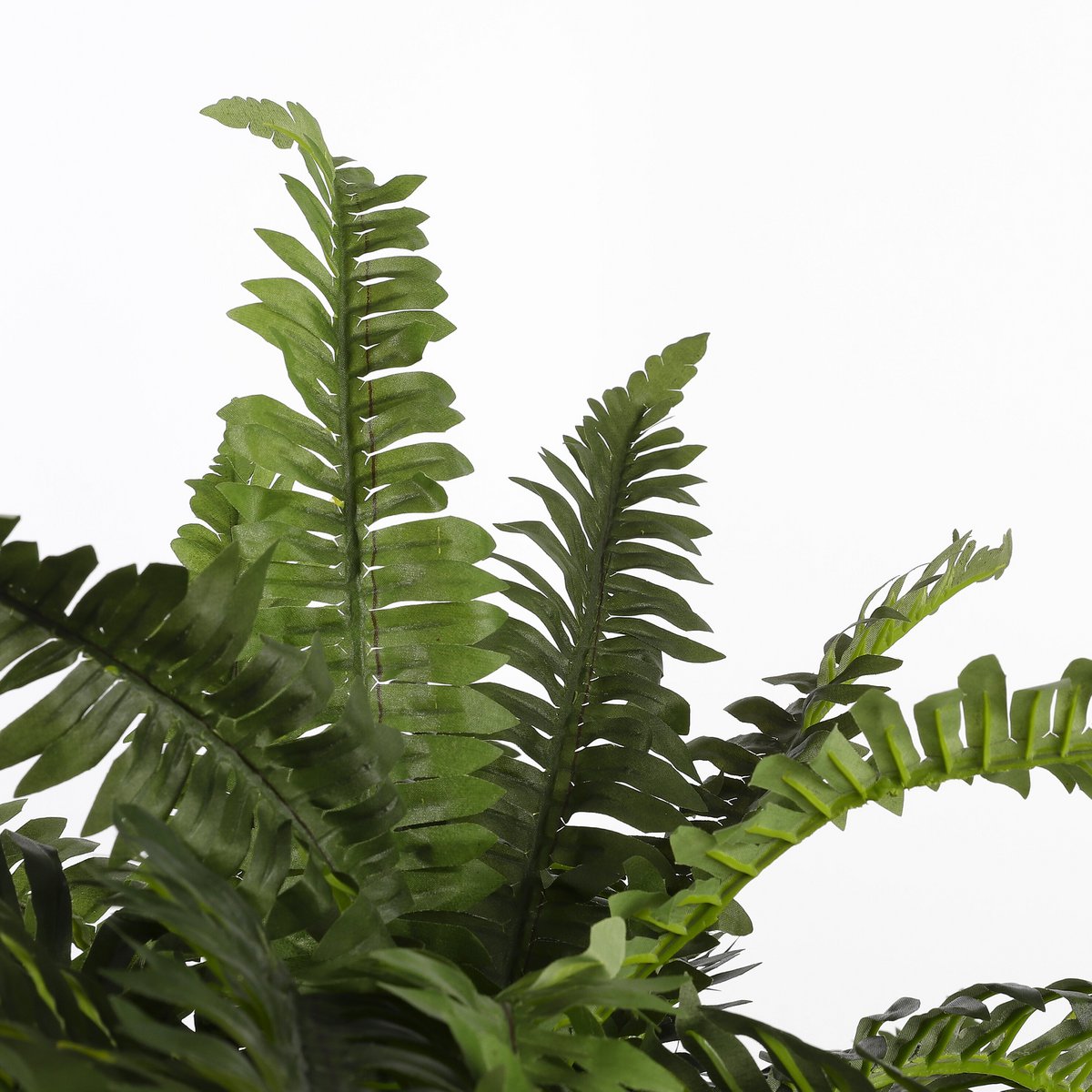 Fougère artificielle verte Ø70 cm — Pot terre cuite gris basalte