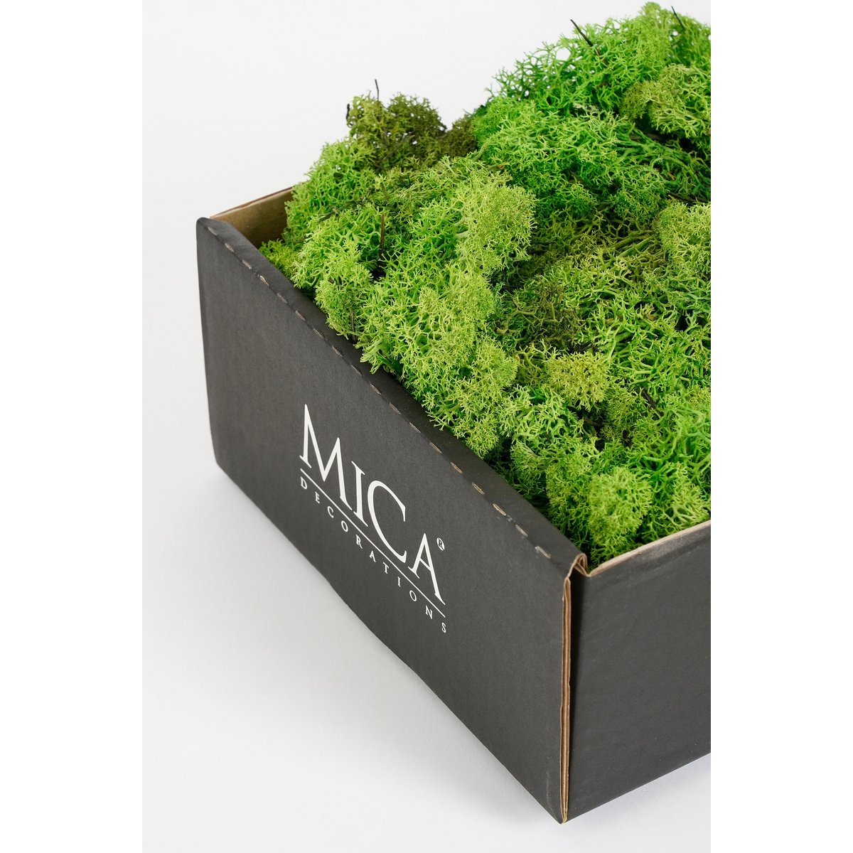 Mousse végétale premium — Finition décorative pour plantes & cache-pots