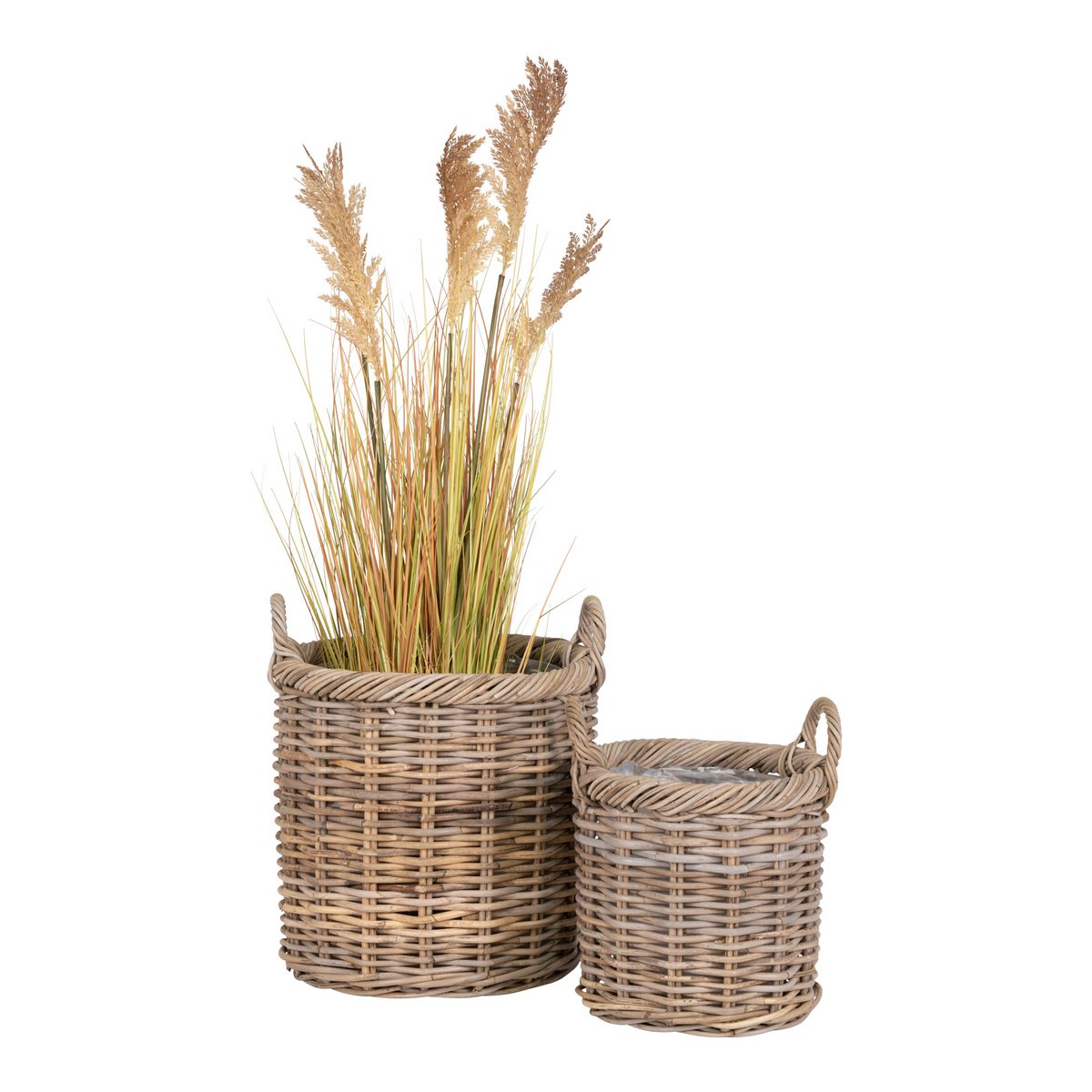 Lot de 2 paniers Gili en rotin Kubu avec herbes de la pampa séchées, fond blanc