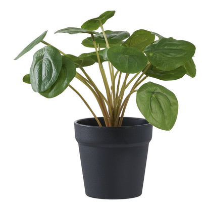 Plante artificielle Pélia 28 cm dans un pot noir, fond blanc