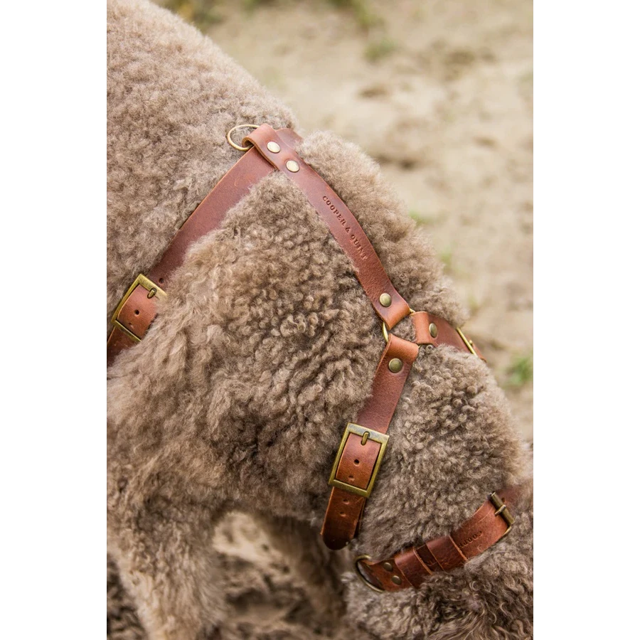 Harnais Y pour chien en cuir – NO CHICHI Brun