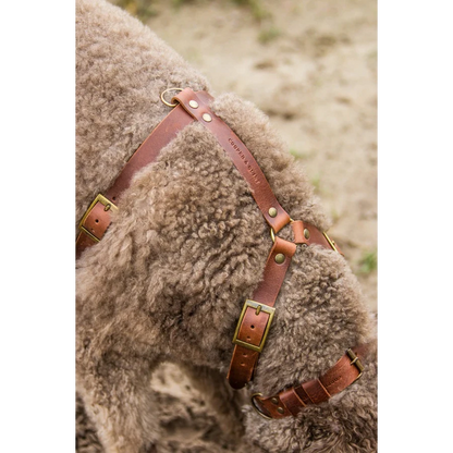 Harnais Y pour chien en cuir – NO CHICHI Brun