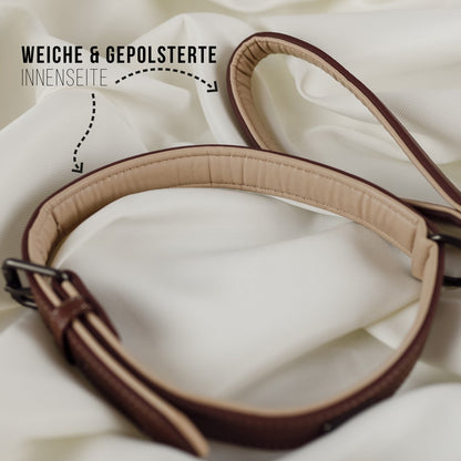 Collier & Laisse pour Chien Vegan Marron & Beige – NE & No®