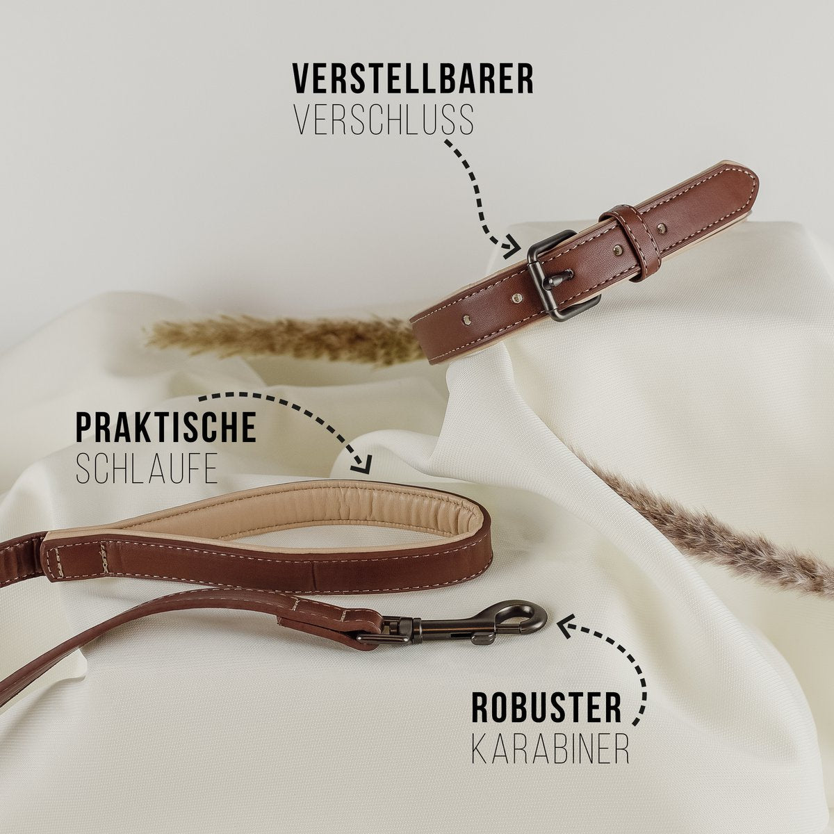 Collier & Laisse pour Chien Vegan Marron & Beige – NE & No®