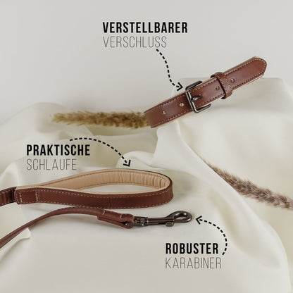 Collier & Laisse pour Chien Vegan Marron & Beige – NE & No®