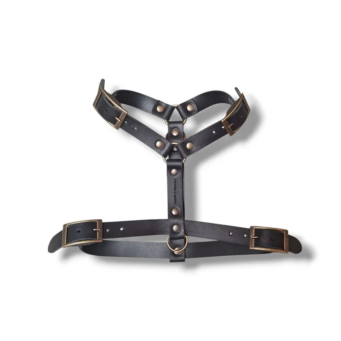 Harnais Y pour chien en cuir – NO CHICHI Noir