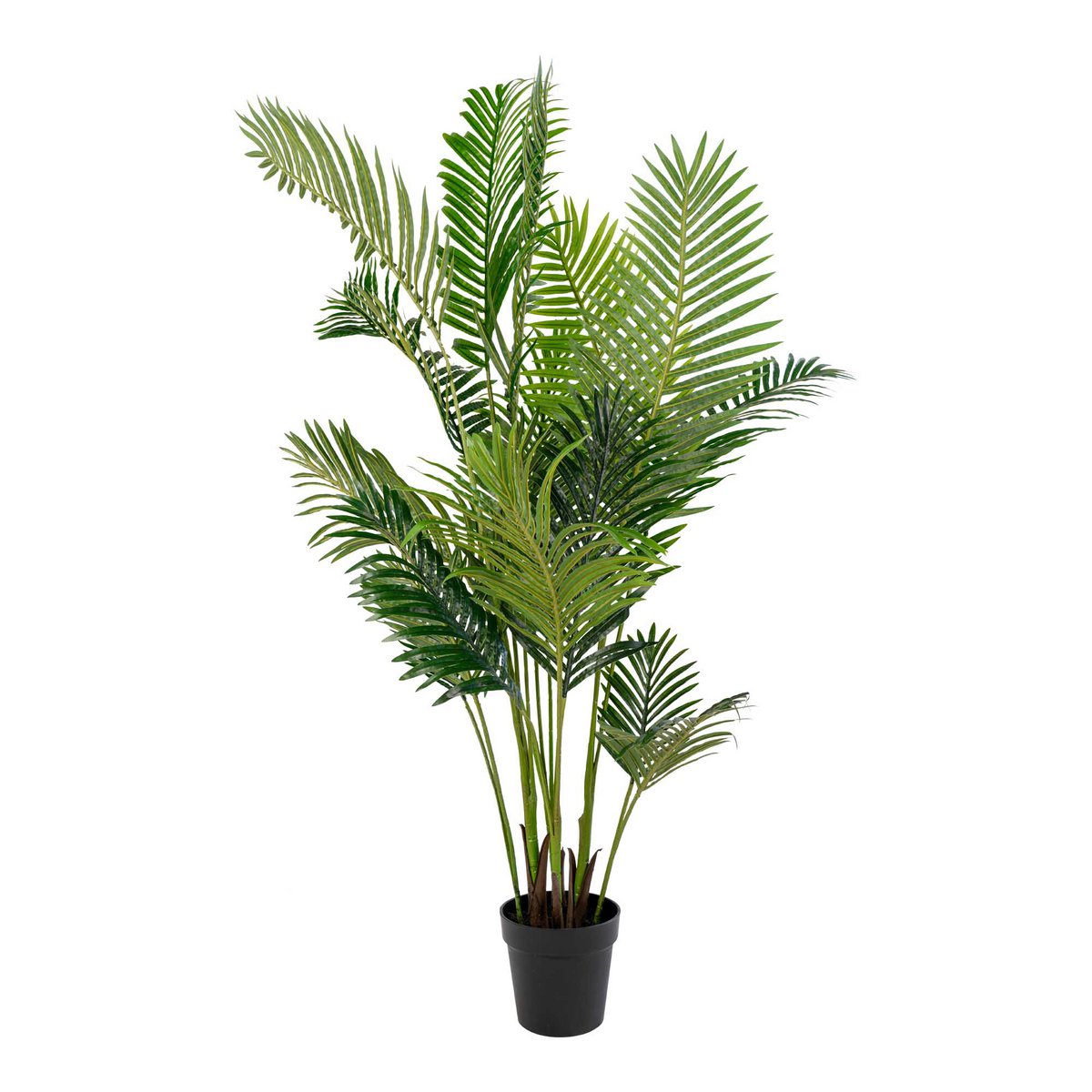 Palmier Areca artificiel 175 cm fond blanc