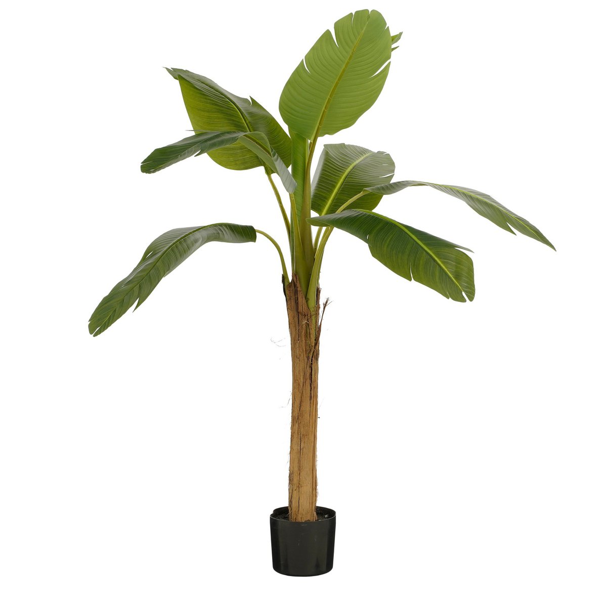 Bananier artificiel 155 cm fond blanc