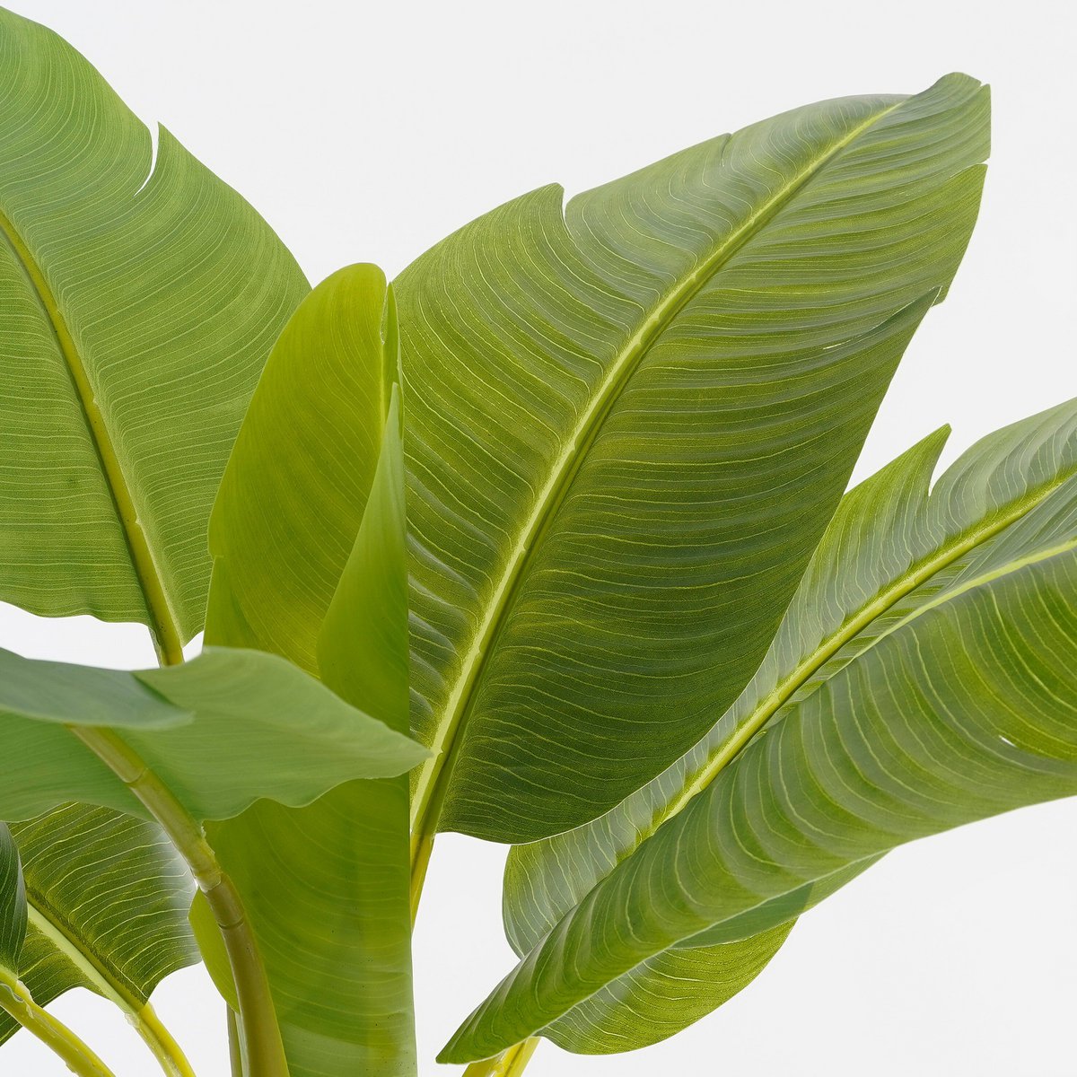 Bananier artificiel détail feuilles tropicales