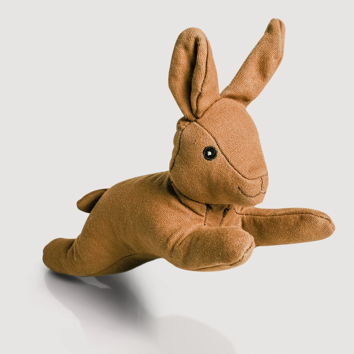 Haru — Le lapin compagnon de jeu pour chien