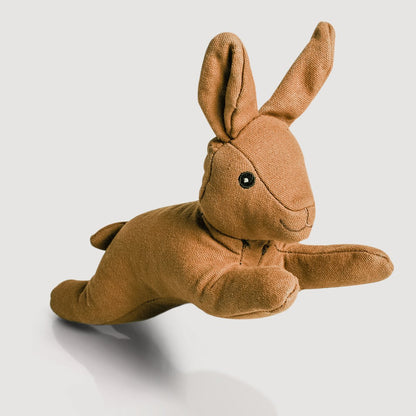 Haru — Le lapin compagnon de jeu pour chien