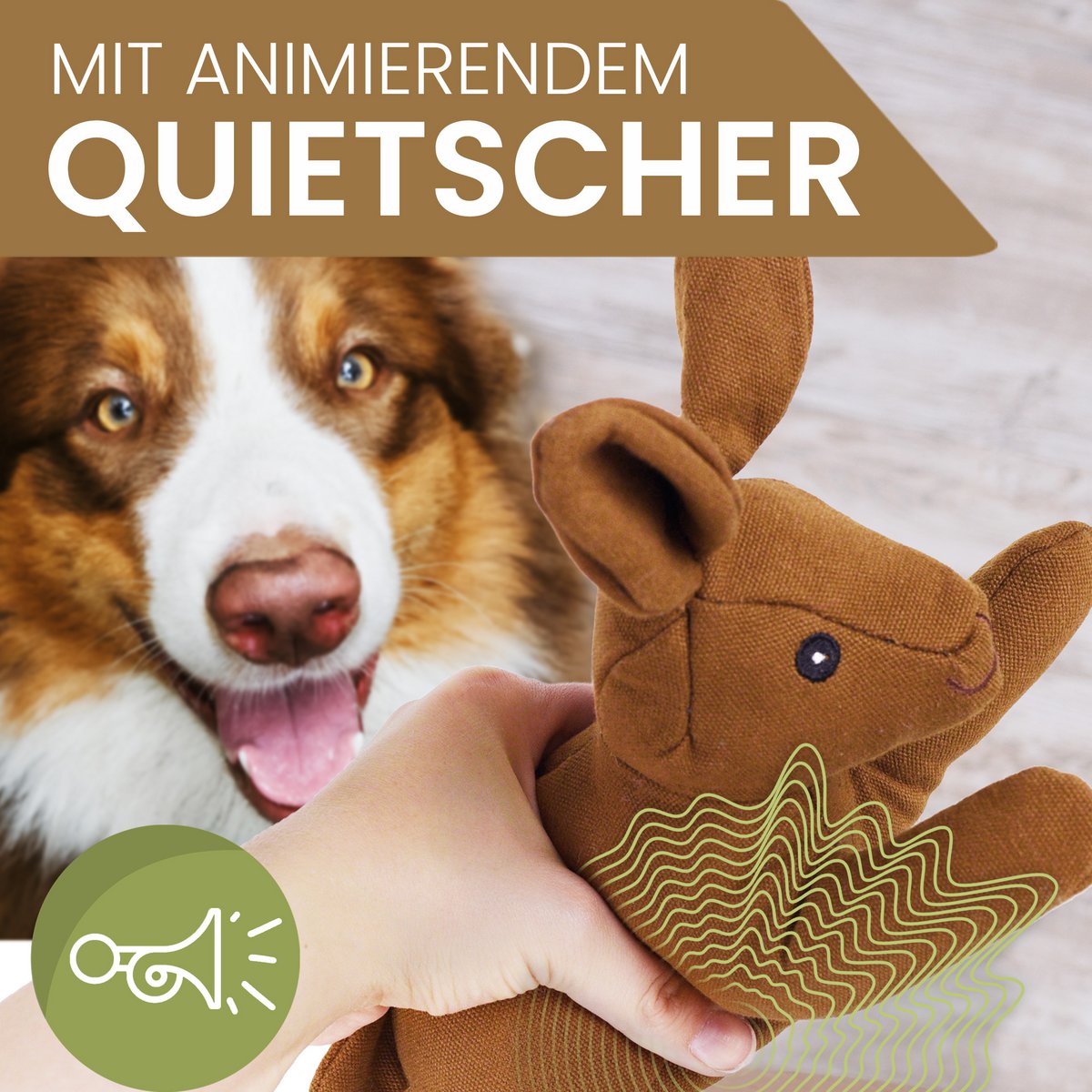 Haru — Le lapin compagnon de jeu pour chien